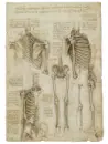 Leonardo da Vinci - Anatomický atlas (exkluzivní, ručně vázané vydání) - leonardo-exkl_5.webp