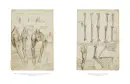 Leonardo da Vinci - Anatomický atlas (exkluzivní, ručně vázané vydání) - leonardo-exkl_8.webp