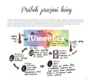 Lexikon kávy ...prostě milujeme kávu - lexikon-kavy_2.webp