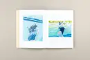 Life Stills - life-stills_2.webp