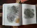 Jiří Lindovský - lindovsky_4.webp
