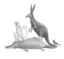 Lingvistické pohádky (dotisk) - lingvisticke-pohadky_1.webp