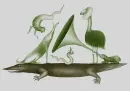Lingvistické pohádky (dotisk) - lingvisticke-pohadky_4.webp