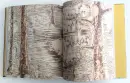 Tereza Lochmann - monografie - lochmann-fr_8.webp