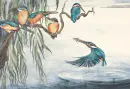 The Lost Words - lost-words_4.webp