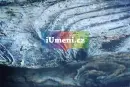 Kouzlo přírody - Zbyněk Maděryč - maderyc-priroda_11.webp