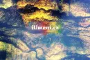 Kouzlo přírody - Zbyněk Maděryč - maderyc-priroda_3.webp