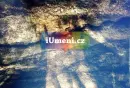 Kouzlo přírody - Zbyněk Maděryč - maderyc-priroda_5.webp