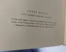 Josef Mánes - živý pramen národní tradice - manes-pramen_3.webp