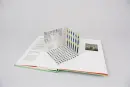 Henri Matisse: Meet the Artist!!  (Pop-ups) - matisse-meet_1.webp
