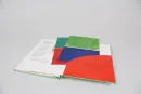 Henri Matisse: Meet the Artist!!  (Pop-ups) - matisse-meet_3.webp