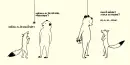 Medvěd a liška - medved-a-liska_1.webp
