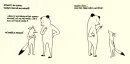 Medvěd a liška - medved-a-liska_2.webp