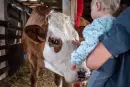 MEKY MEK! Skutečný svět zvířátek - meky-mek_8.webp