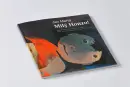 Jan Merta – Milý Honzo! - mily-honzo_3.webp