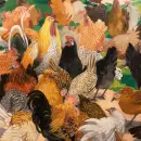 Minka Podhajská (1881-1963) - minka_2.webp