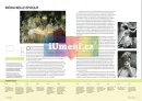 Móda - Úžasný příběh fenoménu - moda_2.webp
