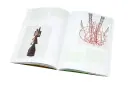 Moderna - moderna-sng_3.webp