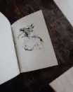 Motýlí kniha - motyli-kniha_4.webp
