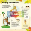 Mraveniště - mraveniste_2.webp