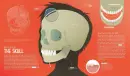 My Body: Explained and Illustrated - my-body_3.webp