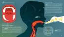 My Body: Explained and Illustrated - my-body_5.webp