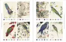 Nature's Palette - natures-palette_3.webp