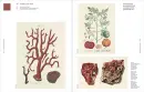 Nature's Palette - natures-palette_5.webp