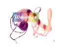 Nech ten mech - nech-ten-mech_2.webp
