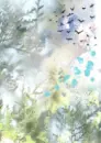 Kniha lesů vod a strání - neumann-trchova_1.webp