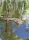 Kniha lesů vod a strání - neumann-trchova_2.webp