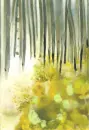 Kniha lesů vod a strání - neumann-trchova_3.webp