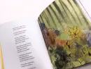 Kniha lesů vod a strání - neumann-trchova_7.webp