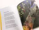 Kniha lesů vod a strání - neumann-trchova_8.webp