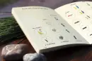 Magnetka - Lucie Greitáková - nezabudka-divozel_3.webp