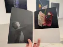 PETR NIKL - TICHO - nikl-ticho_2.webp