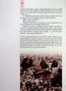 Velká kniha o dřevě - o-dreve_2.webp
