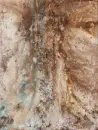 Adéla Oliva, Tam, kde to všechno začíná - oliva_2.webp