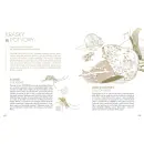 Pálava - o dvě deci výš (3. aktualizovaný dotisk) - palava_7.webp