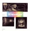 Petr Nikl - Grafika - Obrazový soupis 1980 - 2012 - petr-nikl_1.webp