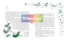 Petr Pan - petr-pan_3.webp