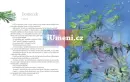 Petr Pan - petr-pan_4.webp