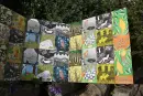 Pexeso z Dubiny - pexeso-dubina_3.webp