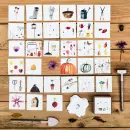 Pexeso Zahrada - pexexo-zahrada_1.webp