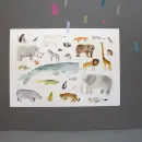 Plakát A4 - plakat-a4_1.webp