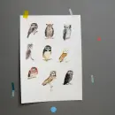 Plakát A4 - plakat-a4_2.webp