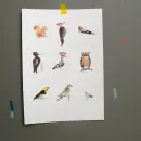 Plakát A4 - plakat-a4_4.webp