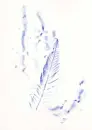 Čtyři podzimní plakáty - plakaty_2.webp