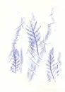 Čtyři podzimní plakáty - plakaty_3.webp