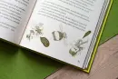 Pohádky pana Zahrádky a paní Pivoňkové - pohadky-pivonkove_3.webp